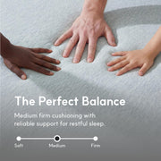 LIFEMENT Full Size Mattress, 8 Inch Full Mattress, Basic Graphite Cooling Memory Foam Mattress in a Box, Pressure Relief with Medium Firm Support, CertiPUR-US Certified, 75''L x 54''W