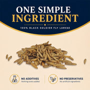 Classic Flock 10LB Dried Black Soldier Fly Larvae for Chickens High Calcium