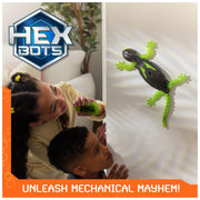 HEX BOTS Wall Crawler Gecko Rechargeable Remote Control Toy | Lizard RC Toy, Wall Climbing Technology, Realistic Limbs, Easy to Use Remote, Prank Toys & Gifts for Kids Ages 4+