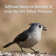 Pennington Select Safflower Seed 15 lb Bag | Bird Seeds for Outside Wild Birds, Enriched with Vitamins and Nutrients, Works in Hopper, Gazebo and Tube Feeders
