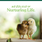 Manna Pro Medicated Chick Starter Grower Feed, Amprolium & Protein, 5 lb | Complete Chick Feed Crumbles, Amprolium for Coccidiosis Prevention, High Protein Nutrition for Growing Chicks, Made in USA