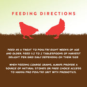 Manna Pro Harvest Delight Poultry Treat, Whole Grain & Seed Mix with Fruits & Vegetables, 14% Protein Snack for Chickens, Ducks & Mixed Flocks, 2.25 lb
