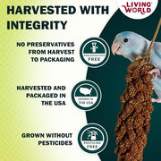 Living World Millet Spray for Birds - 3.5 oz Bag | 100% Natural, Wild-Harvested, Premium Treat - Spray Millet for Budgies, Canaries, Finches, Cockatiels & Other Pet Birds