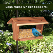 Kaytee Wild Bird No Mess Food Seed Blend for Cardinals, 10 Pound | Cleaner feeding. No mess bird seed. Shell-free, 100% edible, no grow bird seed