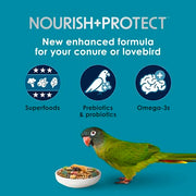 Kaytee Forti-Diet Pro Health Nourish+Protect Conure & Lovebird Food, 4 lb | Balanced digestion. Conure food with prebiotics and probiotics. Parrot food, antioxidants, omega-3s