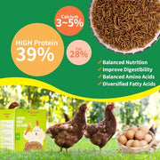 Dried Black Soldier Fly Larvae Treats for Chickens Wild Birds Ducks 10LB | More Calcium Than Mealworms High-Protein Non-GMO Pure Natural