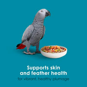 Kaytee Forti-Diet Pro Health+Safflower Parrot Food, 4 Pounds | Better digestion daily. Parrot food for medium birds. Prebiotics, probiotics, bird seed without sunflower seeds