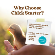 Manna Pro Chick Starter Feed, Non-Medicated Chicken Feed with Vitamins & Minerals, Complete Nutrition for Baby Chicks, 5 lb Bag