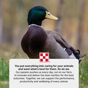 Purina | Nutritionally Complete Duck Feed for All Life-Stages | 4.5 Pound (4.5 LB) Bag