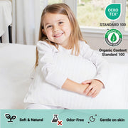 ZPECC Toddler Pillow with Organic Cotton Pillowcase - 13x18, White Stripe