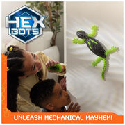 HEX BOTS Wall Crawler Gecko Rechargeable Remote Control Toy | Lizard RC Toy, Wall Climbing Technology, Realistic Limbs, Easy to Use Remote, Prank Toys & Gifts for Kids Ages 4+