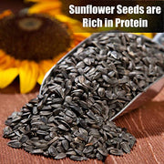 Old Potters Wildlife Black Oil Sunflower Seeds, 12 lbs | For Birds and Wildlife, Non-GMO, USA Grown on Small Farms