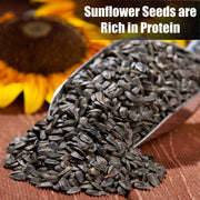 Old Potters Wildlife Black Oil Sunflower Seeds, 12 lbs | For Birds and Wildlife, Non-GMO, USA Grown on Small Farms