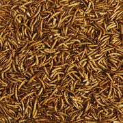 Kaytee Wild Bird Food Mealworms For Bluebirds, Wrens, Robins, Chickadees, Woodpeckers, Cardinals & Chickens, 17.6 Ounce