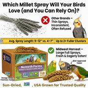 Nemeth Farms Spray Millet - Edible Tops Only, Non-GMO and Sun-Dried - 1 lb for Parakeets, Canaries and Finches