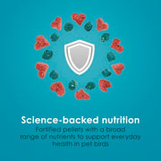 Kaytee Forti-Diet Pro Health Nourish+Protect Canary & Finch Food, 2 Lb | Supports digestion and immunity. Canary food with probiotics and prebiotics. Bird food, omega 3s, naturally preserved