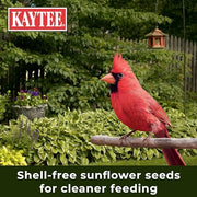 Kaytee Wild Bird No Mess Food Seed Blend for Cardinals, 10 Pound | Cleaner feeding. No mess bird seed. Shell-free, 100% edible, no grow bird seed