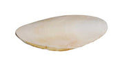 Prevue Pet Products 5-Inch Bird Cuttlebone, Medium