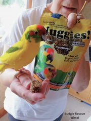 Harrison's Bird Foods Nuggies - Tasty Organic Baked Seed Clusters, 196g
