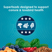 Kaytee Forti-Diet Pro Health Nourish+Protect Conure & Lovebird Food, 4 lb | Balanced digestion. Conure food with prebiotics and probiotics. Parrot food, antioxidants, omega-3s