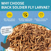 OHNAME 10LB Dried Black Soldier Fly Larvae for Chickens | Factory Direct-No Middle Man, 4% Calcium for Strong Eggshells, 43% Protein Natural Treats for Vibrant Feathers